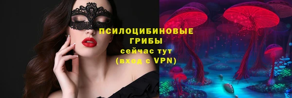 mdpv Зеленодольск
