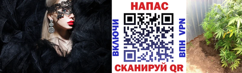 Марихуана Ganja  Купить где  Верещагино 